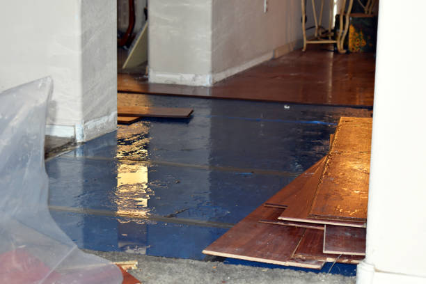 Professional Water Damage Restoration technician working in Williamsburg, MI